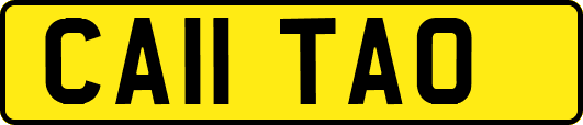 CA11TAO