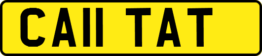 CA11TAT