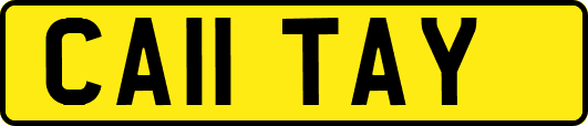 CA11TAY