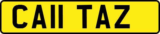CA11TAZ