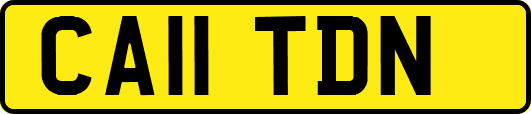 CA11TDN