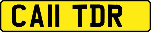 CA11TDR