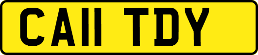 CA11TDY