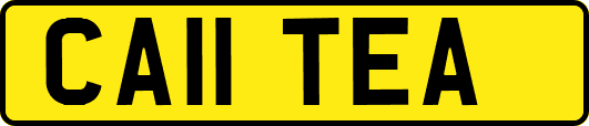 CA11TEA