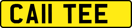 CA11TEE