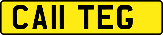 CA11TEG