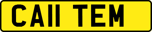CA11TEM