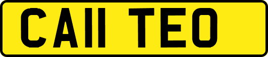 CA11TEO
