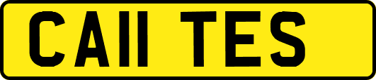 CA11TES