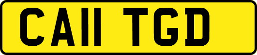 CA11TGD