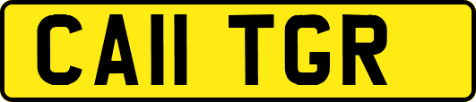 CA11TGR