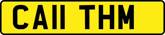 CA11THM