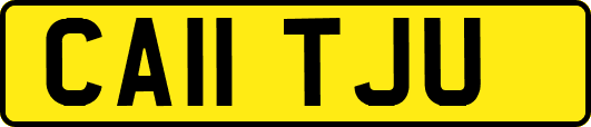 CA11TJU