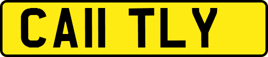 CA11TLY