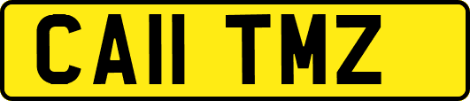 CA11TMZ