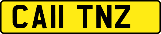 CA11TNZ