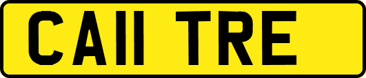 CA11TRE