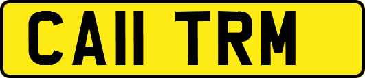 CA11TRM