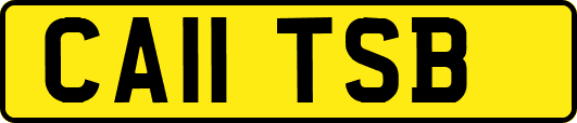 CA11TSB