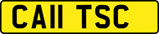 CA11TSC