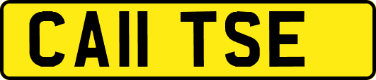 CA11TSE