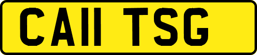 CA11TSG