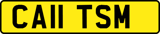 CA11TSM