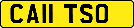 CA11TSO