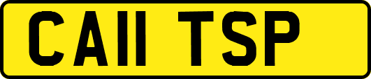 CA11TSP