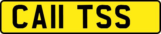 CA11TSS