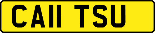 CA11TSU