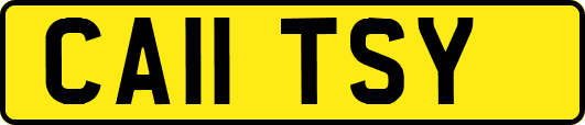CA11TSY