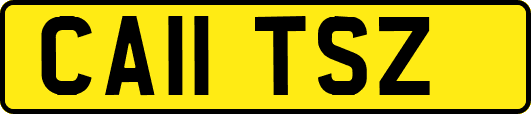 CA11TSZ