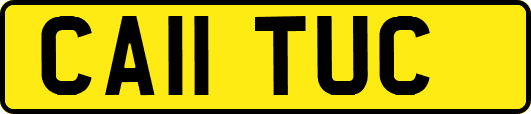 CA11TUC