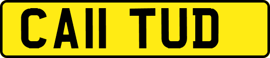 CA11TUD