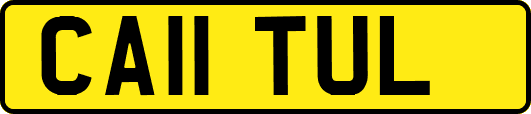 CA11TUL