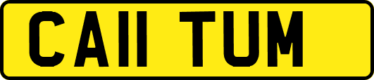 CA11TUM