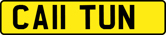 CA11TUN