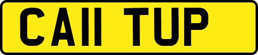 CA11TUP