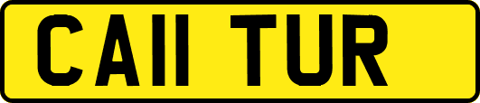 CA11TUR