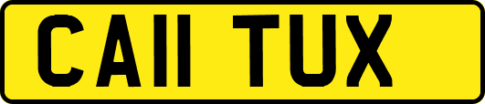 CA11TUX