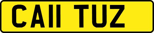 CA11TUZ