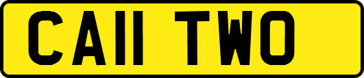 CA11TWO