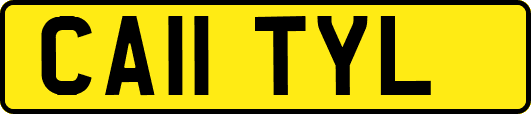 CA11TYL