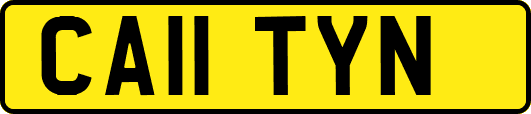 CA11TYN