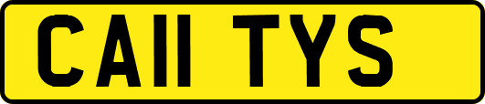 CA11TYS