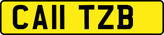 CA11TZB