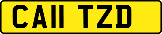 CA11TZD