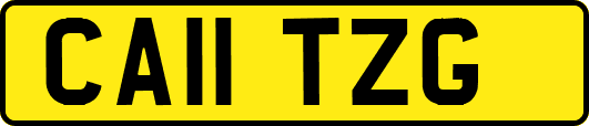 CA11TZG