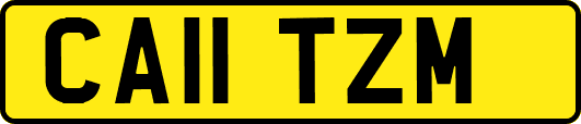 CA11TZM